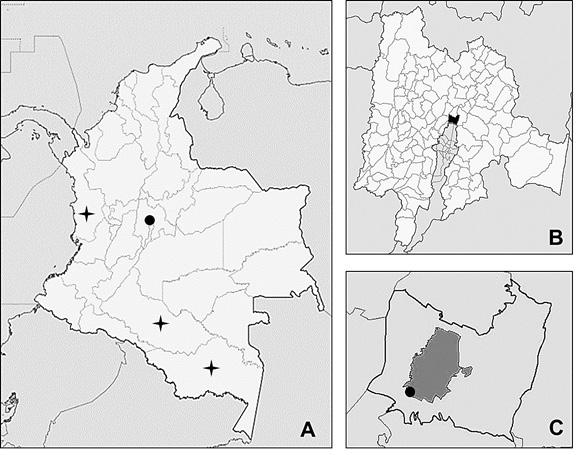 8 Pinzón-Osorio CA, Pinzón-Osorio J estudiada sobre todo por causar grandes pérdidas en la industria maderera (Karthikeyan et al. 2009) al ser agente patógeno en los bosques tropicales (Zakaria et al.
