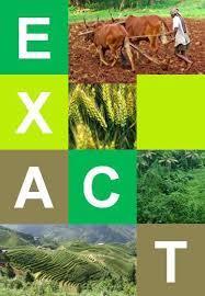 Análisis del balance de carbono Análisis con la herramienta: - EX-ACT de la FAO para carbono (Hoja de