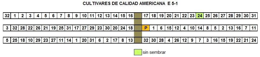 2 - CULTIVARES DE CALIDAD AMERICANA E5-1 Paso Farías, Artigas. P. Blanco, G.