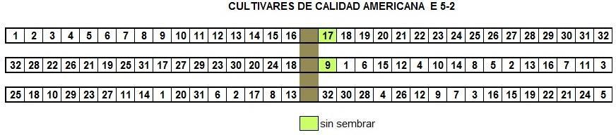 3 - CULTIVARES DE CALIDAD AMERICANA E5-2 Paso Farías, Artigas. P. Blanco, G.