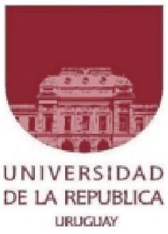 Universidad de la República Unidad de Capacitación Curso