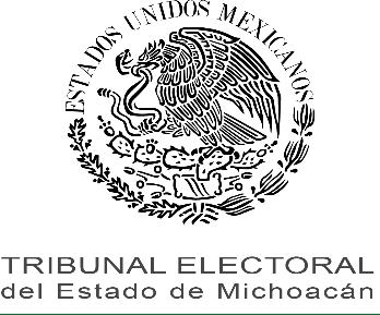 JUICIO PARA LA PROTECCIÓN DE LOS DERECHOS POLÍTICO- ELECTORALES DEL CIUDADANO. EXPEDIENTE: TEEM-JDC-041/2016. ACTOR: JOSÉ LUIS CAMARENA DEL TORO.