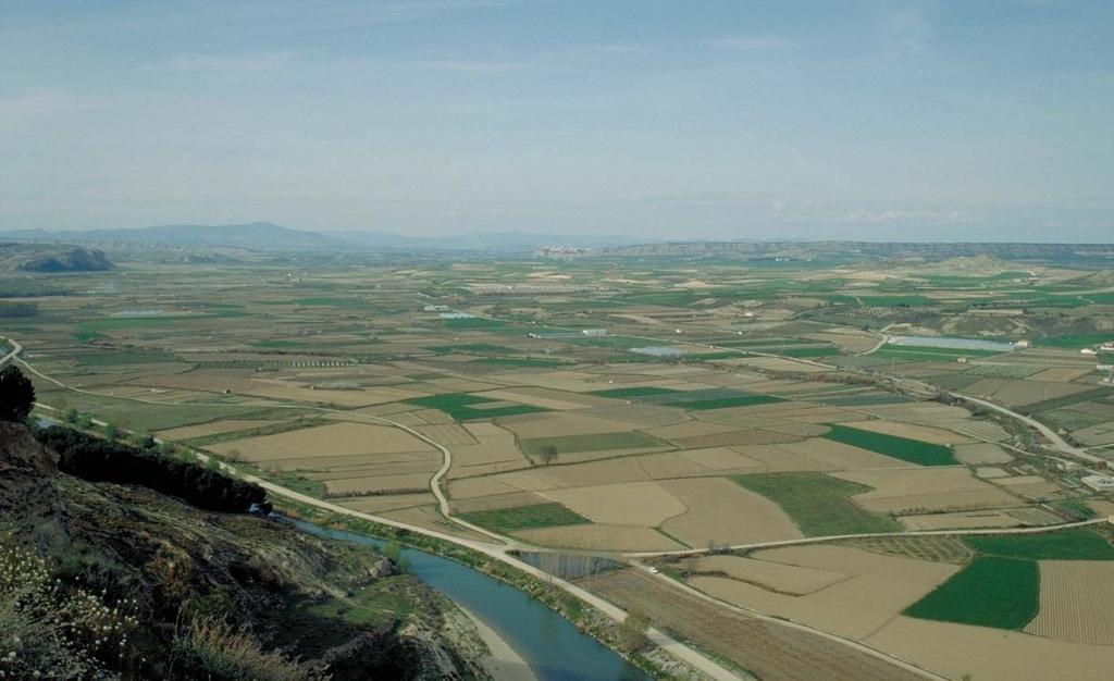 Fertilización en zonas vulnerables en Navarra situación - experimentación - medidas a tomar l a contaminación difusa derivada de la agricultura es hoy en día uno de los grandes problemas