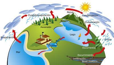 Explica en qué consiste cada uno de las fases del ciclo del agua.