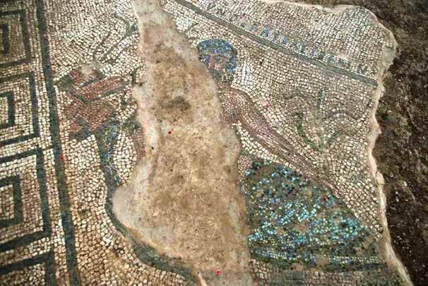 Desempeño medioambiental 5 Mosaico del río Tiber Proceso de restauración de los mosaicos: El proceso de restauración de los mosaicos conllevó la limpieza
