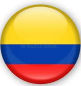 Colombia* 29% 60% 40,000 millones de USD 80% Chile* 43% 0% 20% 40% 60% 80% Límite