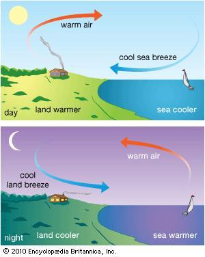 El viento de día y de noche Durante el día: La tierra calienta mas rápido que el mar. El aire caliente de la tierra se eleva.