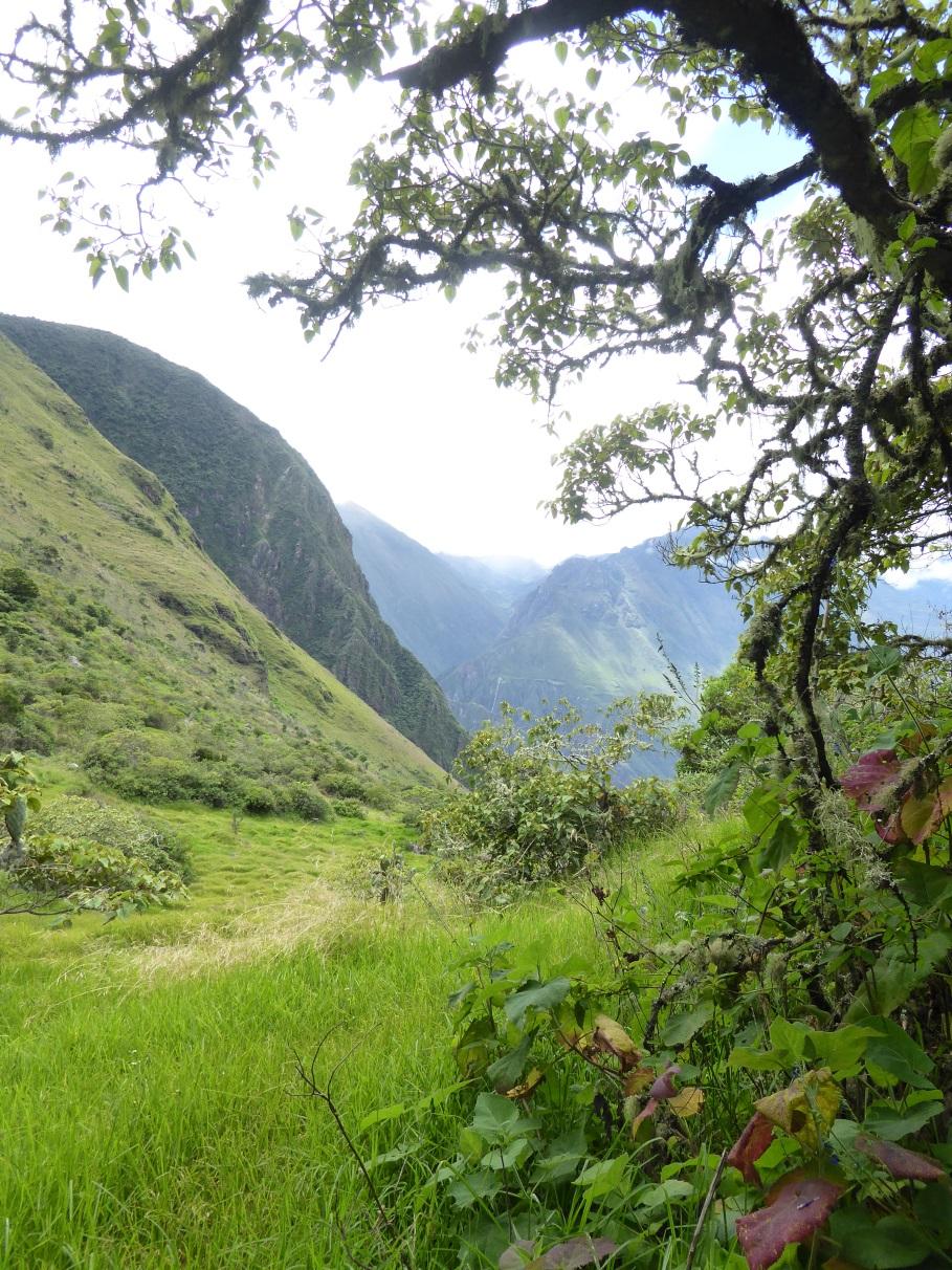 Ciencias de la sostenibilidad y sistemas socio-ecológicos: Un marco conceptual para la investigación sobre bosques andinos Sarah-Lan Mathez-Stiefel Centro pare el Desarrollo y Medioambiente (CDE),