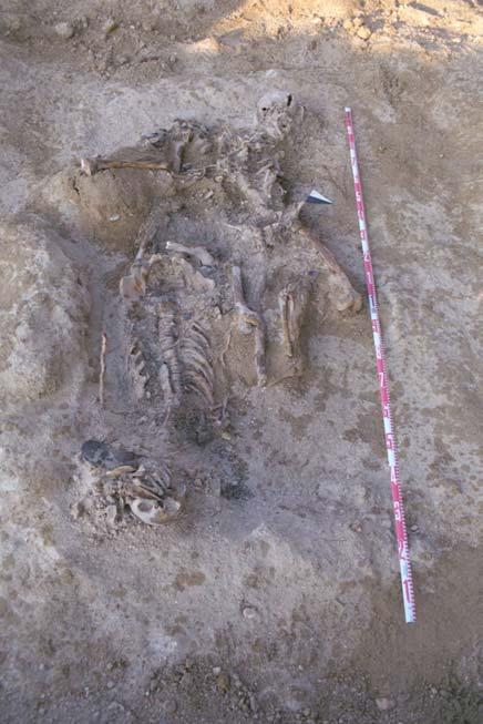 3.4. Excavación Al delimitar y limpiar la zona se comprobó que los cuerpos estaban enterrados en dos fosas, dos individuos en cada una.
