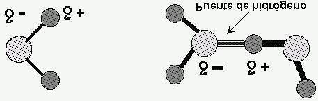 atracción electrostática sobre las cargas parciales positivas de los átomos de hidrógeno de otras moléculas adyacentes.