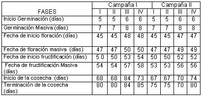 Evaluación del Biobras-16 en el cultivo del pepino con disminución del riego... González et al., 2013 de Holguín, en 12 canteros con 80 % de materia orgánica de estiércol vacuno en un 20% de suelo.