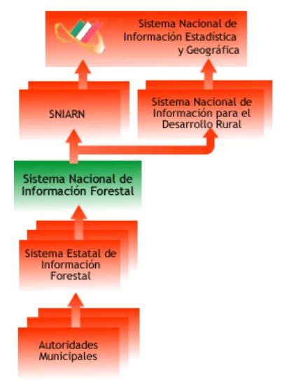 Información Forestal, debiéndose articular con la Agencia Ambiental y el Sistema Nacional de Información Forestal (SNIF).