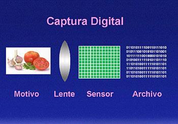 Formación de Imágenes De continua a discreta Proceso: Iluminación Óptica Sensores Cámara Digitalizadora?