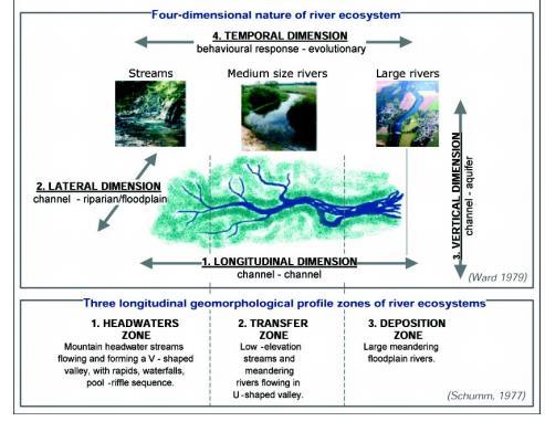 Cuatro dimensiones naturales en Ecosistemas fluviales Tres zonas de perfil longitudinal geomorfológico en ecosistemas fluviales 1.