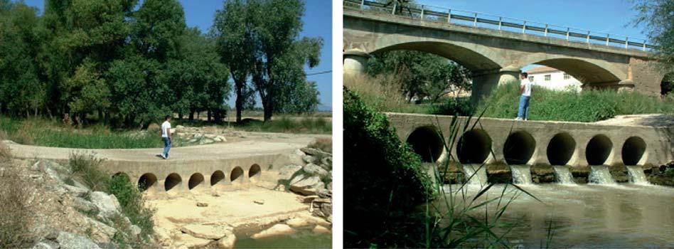 Monográfico Riego por aspersión. Junio 2011 I 7 Figura 2. Dos imágenes del río Flumen tomadas el 8 de septiembre de 2006. A la izquierda, en Lascasas, antes de llegar a Riegos del Alto Aragón.