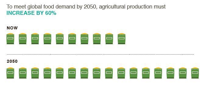 600 millones en 2050 Aumentar en 60 % la cantidad de alimentos (hasta 100%