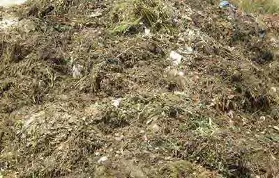 Biorresiduos Residuo biodegradable de jardines y parques, residuos alimenticios y de cocina procedentes de hogares, restaurantes, servicios de restauración colectiva y establecimientos de consumo al
