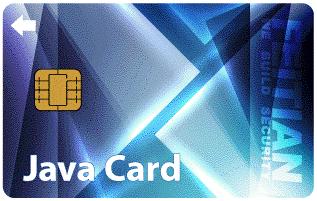 SmartCard Chip, Java La serie de tarjetas inteligentes epass PKI están diseñadas para almacenar información personal del usuario, certificados digitales, y llaves privadas, es fácil de integrar a