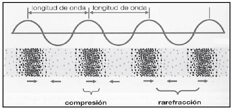 Guía de sonido, Nombre: Curso: El sonido es una onda longitudinal y mecánica, es decir, que necesita un medio material para su propagación.
