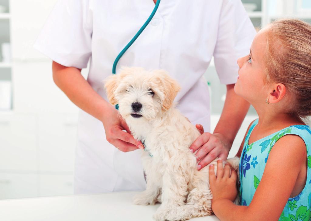 VACUNACIÓN Cómo planteamos la vacunación de los cachorros?