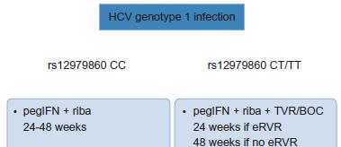 PEG-Interferon/ RBV e inicio de tratamiento con Telaprevir/ Boceprevir Gen IL-28B; SNPs Alelo respondendor Alelo no respondendor Asociación con RVS rs12979860 C T 1,37x10-28