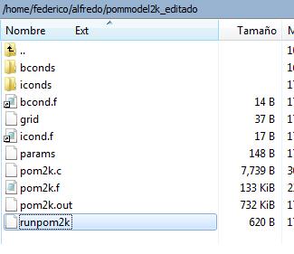 El archivo pom2k.out es el ejecutable del modelo, grid y params guardan parámetros de la configuración del modelo. icond.f y bcond.