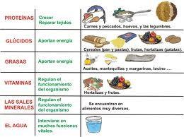 4.- La nutrición en animales: la obtención de nutrientes.