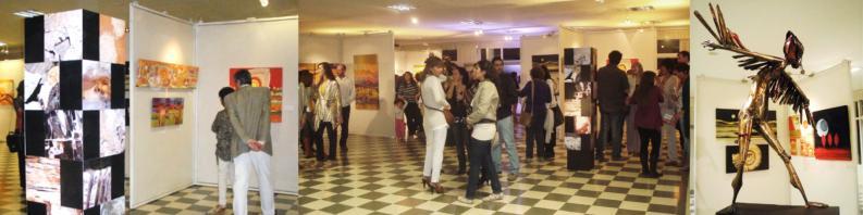 Año 2011- Muestracolectiva de arte contemporáneo METÁFORAS ANDINAS,