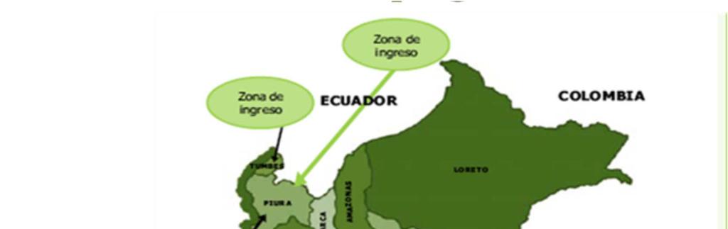 con Ecuador y Bolivia; así mismo las falsificaciones y adulteraciones se han evidenciado en diversas