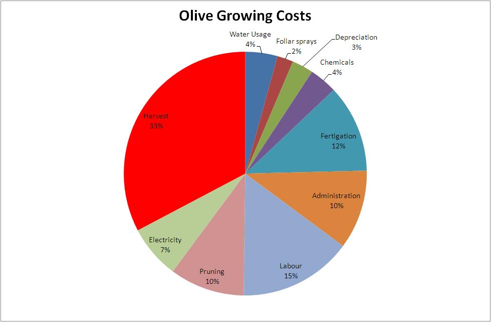 Y el mas caro Sources: International Olive Council,