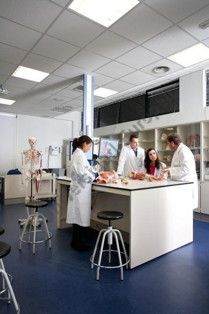 INSTALACIONES LABORATORIOS: Existen 4 laboratorios que se utilizan en el Grado en Enfermería: el de anatomía, fisiología, biología e informática. 1.