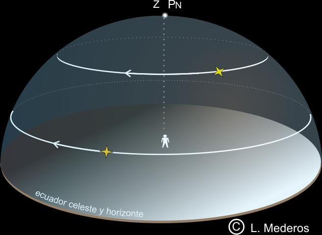 Trayectoria de astros para distintos observadores Son circumpolares todas las que están en el hemisf.