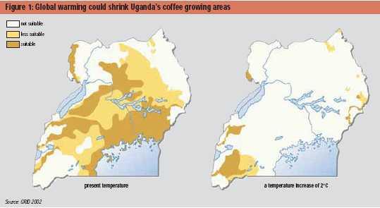Ejemplo: Cambio climático Uganda Impactos en empleo e ingresos?