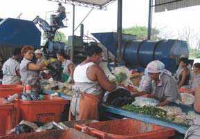 Política de residuos con inclusión social: ejemplo de Brasil Manejo de residuos solidos: Aumento reciclaje, deposito adecuado Brasil: ~ 60,000 trabajadores en reciclaje formalizado (aprox.
