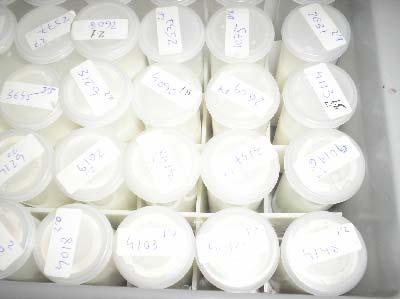 -Contenido en proteína: Para mantener un elevado contenido proteico en la leche es necesario tener en cuenta las mismas pautas que en vacuno lechero: -Raciones con un aceptable contenido en C.N.F.