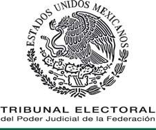 JUICIO PARA LA PROTECCIÓN DE LOS DERECHOS POLÍTICO-ELECTORALES DEL CIUDADANO EXPEDIENTE: SM-JDC-372/2015 ACTORA: MÓNICA TORRES VÁZQUEZ RESPONSABLE: DIRECCIÓN EJECUTIVA DEL REGISTRO FEDERAL DE