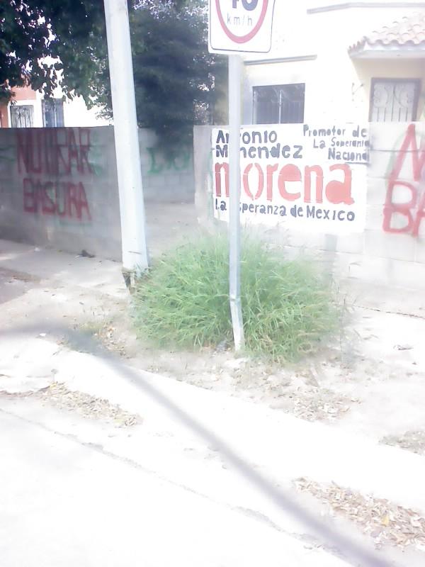 99831126 Distrito Partido Morena argo Genérico