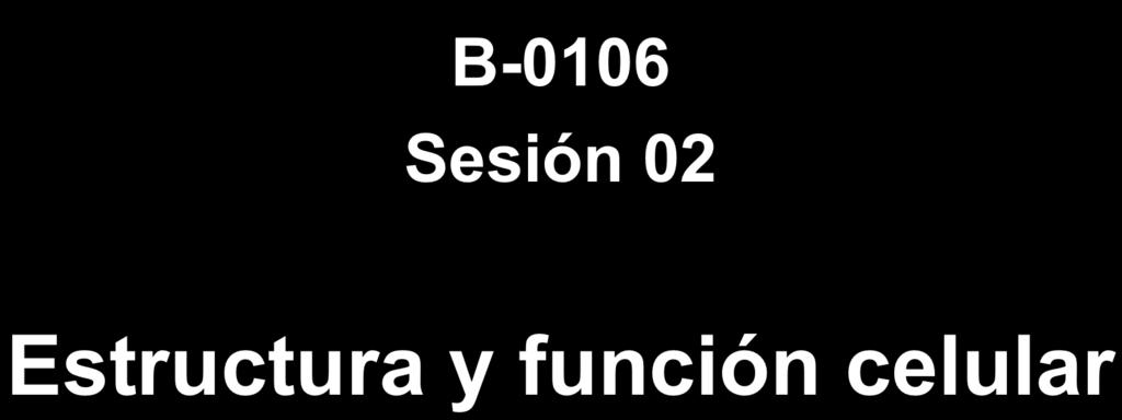 B-0106 Sesión 02
