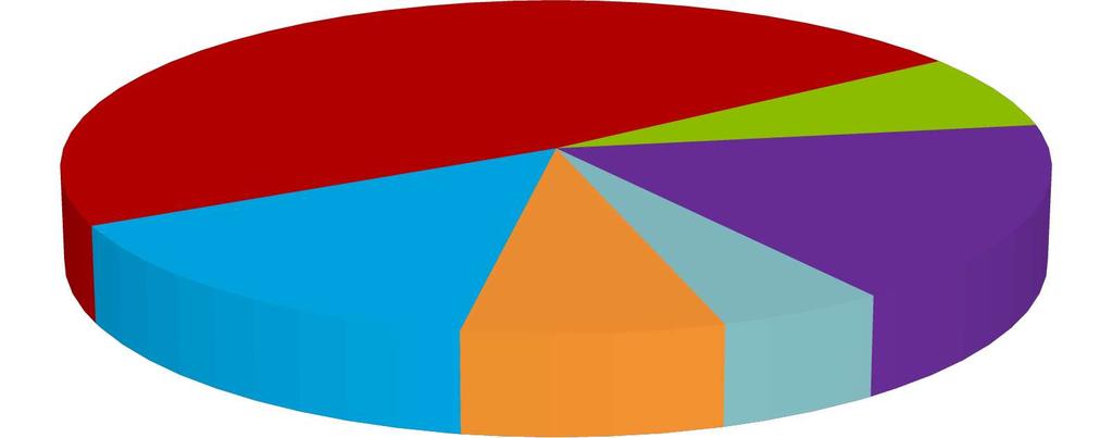 Situación Actual Contribución por sectores (año 2016) Fuente MAPAMA (NIR, 2018) 61,12% 38,88% Sectores cubiertos por el comercio de derechos de