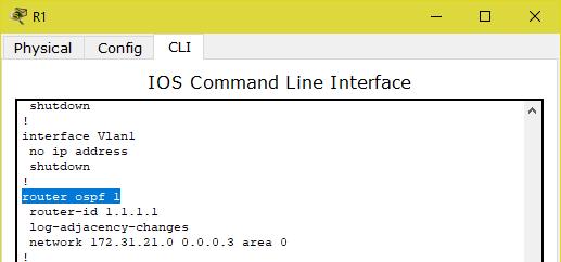 Visualizar el OSPF Process ID, Router ID, Address summarizations,