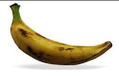 3% Precio en relación con la semana anterior: A la baja Situación de la oferta: Creciente Plátano maduro, mediano, de primera (ciento) Causas: Se observó un mayor abastecimiento al mercado; cabe