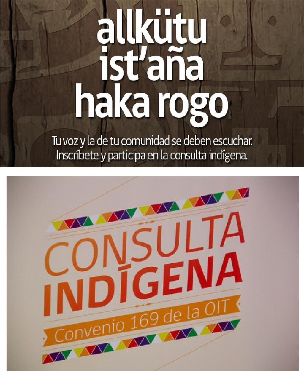Consulta Institucionalidad Indígena 2011 En marzo 2011 el Gobierno comenzó la Consulta sobre Institucionalidad Indígena para abordar tres grandes áreas temáticas: Nueva Normativa General de Consulta