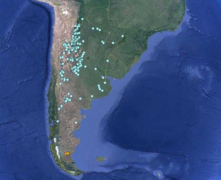 PRESAS EN LA ARGENTINA A partir del relevamiento de bases de datos nacionales y provinciales, se tienen: 184 presas de embalse 132 azudes 12