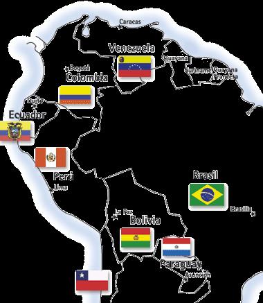 Informe /DP-01-2012 de Actualización del INTERCONEXIÓN ECUADOR - COLOMBIA INTERCONEXIÓN PERÚ - ECUADOR INTERCONEXIÓN PERÚ - BRASIL INTERCONEXIÓN PERÚ - BOLIVIA INTERCONEXIÓN PERÚ - CHILE Figura 8.