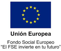 RESOLUCION DEFINITIVA Convocatoria de Ayudas Económicas a Proyectos de Emprendimiento de Personas con Discapacidad POISES - FONDO SOCIAL EUROPEO 2017 FECHA RESOLUCIÓN DEFINITIVA: 28 de diciembre de