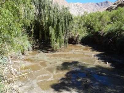 Cochiguaz (6.664.881N/364.583E) Se observaron remociones en masa principalmente en el sector del río Cochiguaz, las que corresponden a flujos de detritos, a menudo con sedimentos de tamaños gruesos.