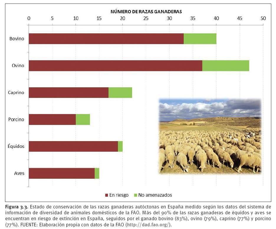 Ejemplo de indicadores La evaluación de los agroecosistemas de España (según el criterio EME, 2012) revela una demanda creciente de los servicios culturales y de abastecimiento basado en diversidad