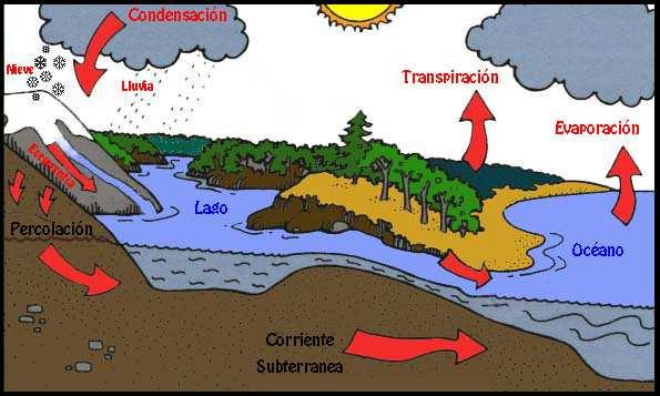 El ciclo hidrológico comienza con la evaporación del agua desde la superficie del océano. A medida que se eleva, el aire humedecido se enfría y el vapor se transforma en agua: es la condensación.