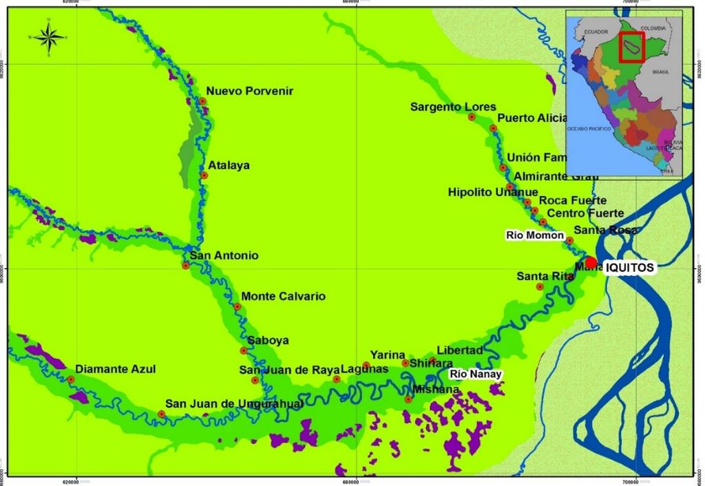 EL ÁREA DE ESTUDIO: Área total: 1 721 343 Ha. Dos AP establecidas en el ámbito del estudio: la RN Allpahuayo Mishana (56 mil Ha) y el ACR Alto Nanay Pintuyacu Chambira (955 mil Ha).