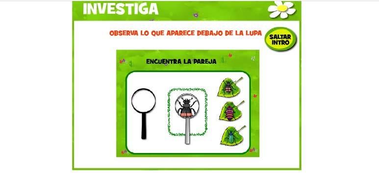 BICHOS Esta web de la Comunidad Valenciana es un paquete interactivo de juegos cuyo hilo conductor parte de pequeños bichos para trabajar conceptos básicos de lectoescritua y matemáticas.